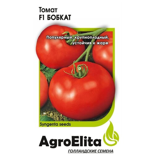 ������ ������ ������ ��������� 