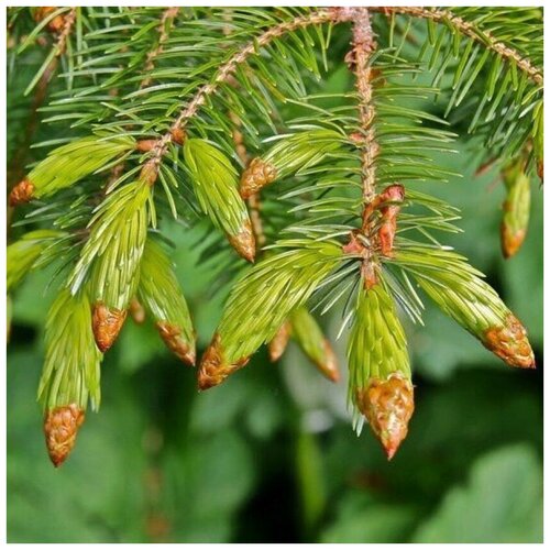 ������ ������ ������ ������ ���������� ��� 20 ��. ����