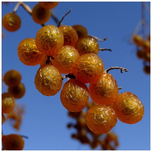 ������ ������ ������ ������ ������� ���� ��������� 5 ��. ����