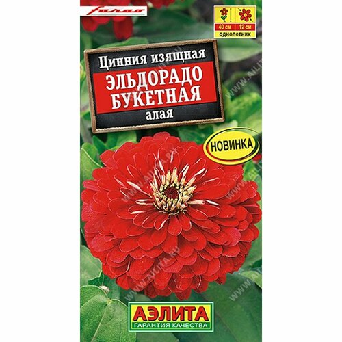 ������ ������ ������ ������ ��������� �������� ����, ����������, (������) 12�� ����