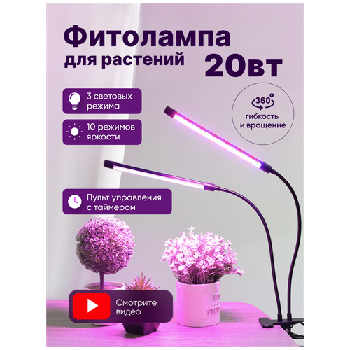 ������ ������ ��������� ������� ������� ��� �������� ��� ���, ������������, ����������, ��� ������� � � ��������� �������� ����