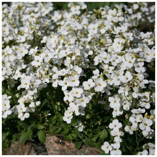 ������ ������ ������ ������ ������ ������� ����� ����������� 160 ��. ����