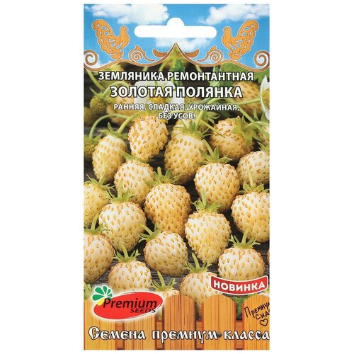 ������ ������ ������ ��������� ������������ 