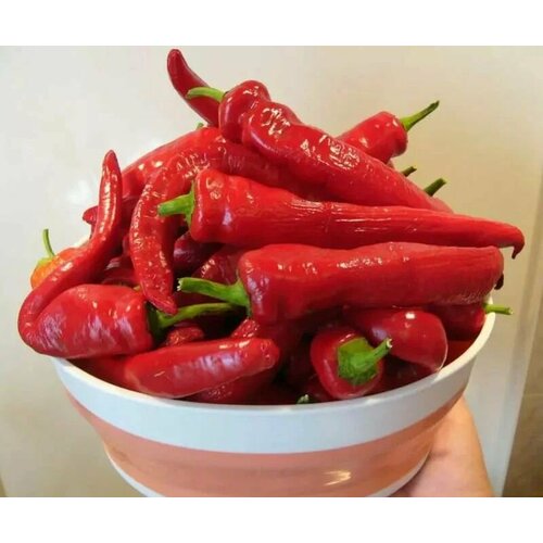 ������ ������ ������������� ������ ����� ������� ������ ����