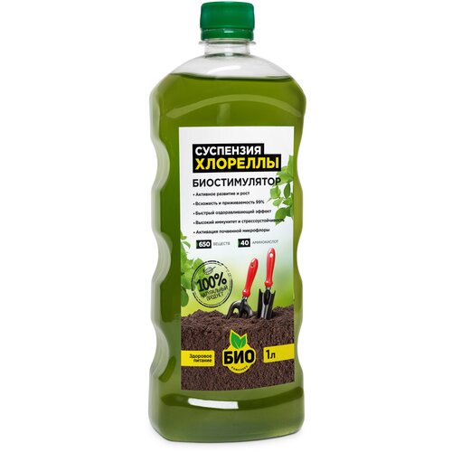 ������ ������ ��������� ���-�������� ��������� ��������, 1 �, 989 �, 1 ��. ����