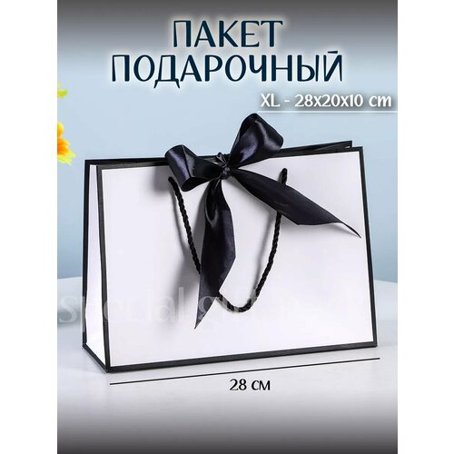 ������ ������ ���������� ����� ����