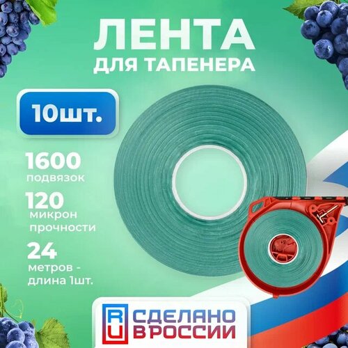 ������ ������ ����� ��� ���������� / �������� / �������� ��� �������� �������� ����������� 24�. 10 ���� ����