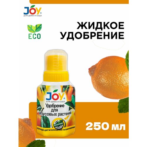      JOY, 250   -     , -,   