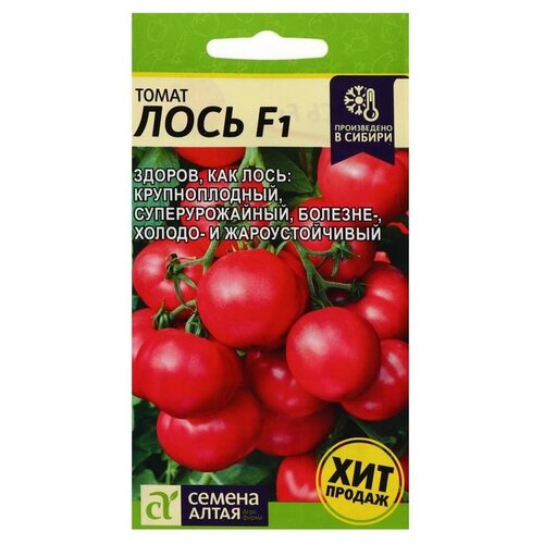 ������ ������ ������ ������ ����� ����� ���� F1, 3 ��. ����