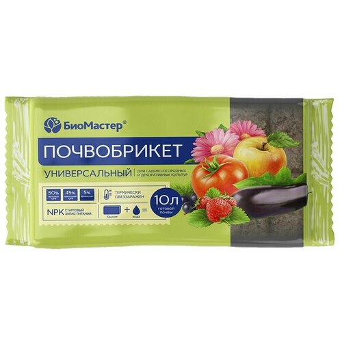 ������ ������ ����������� �������������, 10� 