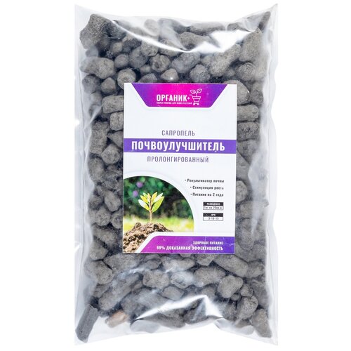 ������ ������ ��������� ��������� 1� ����