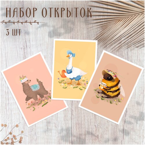 ������ ������ ����� ��������� �������� ��� ���������� / 3 �� / ��������� ����� ����