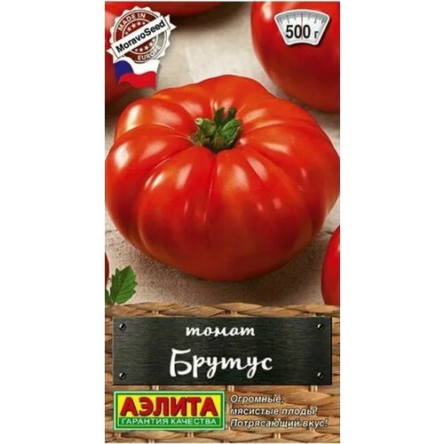 ������ ������ ������ ����� ������ 20�� ����� (������) ������� ������� �������� ����