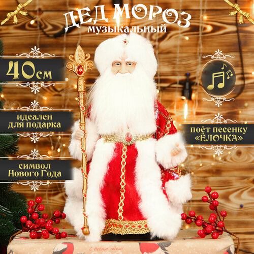 ������ ������ ��� ����� ��� ���� ����������� 40 �� ���������-������� ����