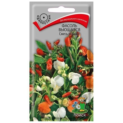 ������ ������ ������ �������� ����� �������, 5 ��. ����