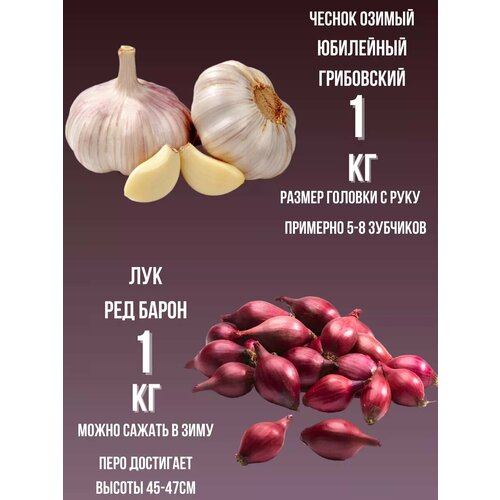 ������ ������ ����� ������ ������ � ��� ����� 1 �� ����