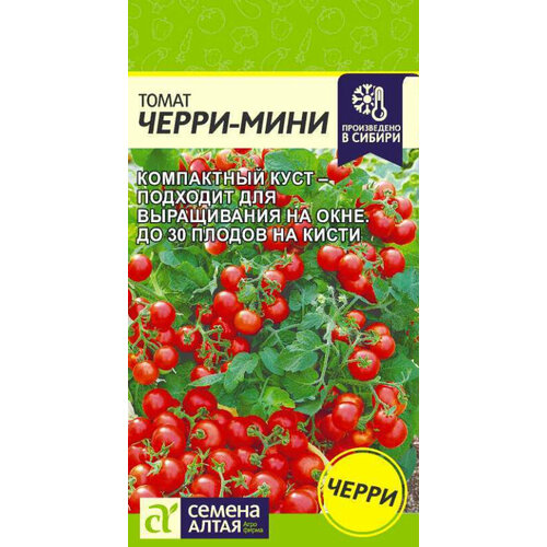 ������ ������ ������ ����� �����-���� 0.1� ��� (������ �����) ����