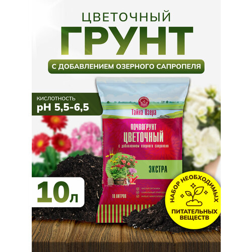 ������ ������ ����� ��� ������ � ���������� 10 �, ����� ��� �������, ����������, InHome Green ����