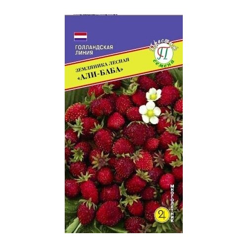 ������ ������ ������ ��������� ������ 