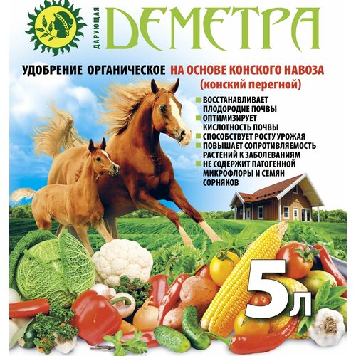 ������ ������ ��������� ������� ��������, ������������, �� ������ �������� ������, 5 � ����