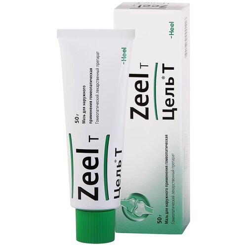 ������ ������ ���� � ����, 50 � ����