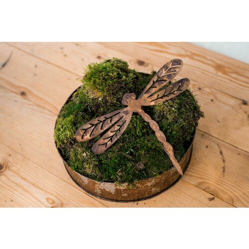 ������ ������ ������� ������� ��� ���� � ������� �������� ����