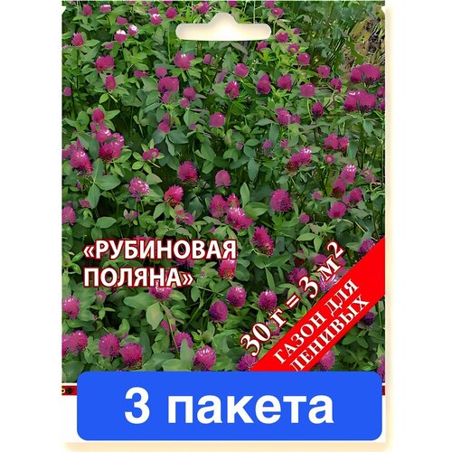 ������ ������ ������ �������� ���� ������� ������ 