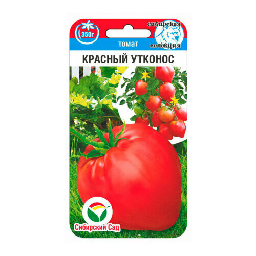 ������ ������ ������ ����� ������� ������� 20�� ����� (��������� ���) ����