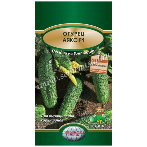 ������ ������ ������ ���� F1 10�� �� ���� (�����) - 10 �� ����