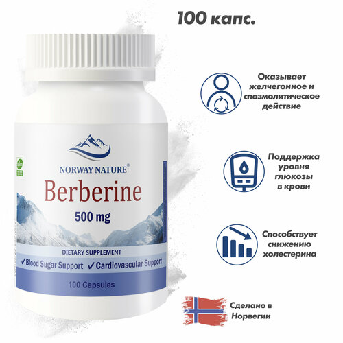 ������ ������ Norway Nature, Berberine, �������� 500 ��, 100 ������ / �������� �����������, ������ ������� � ������� ����