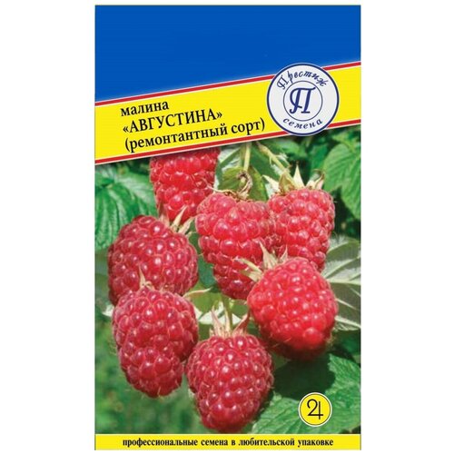 ������ ������ ������ ��������� (������������ ����). ������. ������ ����� �� 200 ��. ��� ����� ����� �� 5-6 ��. ����