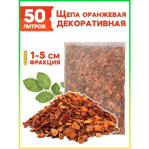 ������ ������ ���� ������������ �������. ����������, 50 � ����