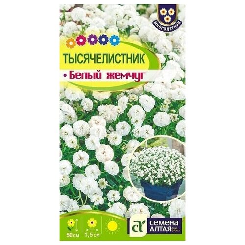 ������ ������ ������������� ����� ������ 0,1� ������ ����� ����