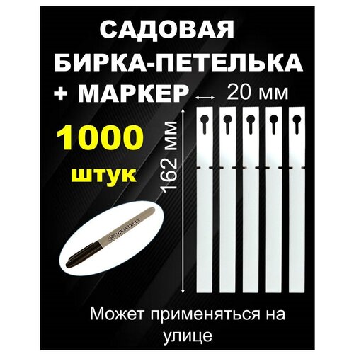 ������ ������ ������� ����� ��������, ����� 20*162 �� 1000 ���� ����