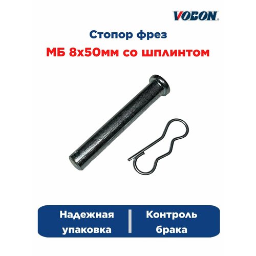 ������ ������ ������ ���� �� 8�50�� �� �������� (1��) ����