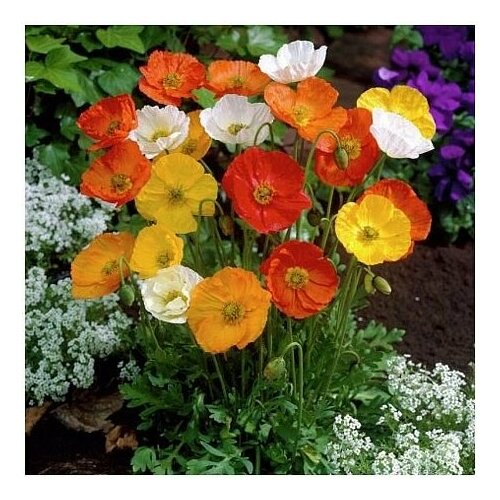 ������ ������ ��� (�������) �������������� (����������) ���������, ����� 0.05 ������ ����� ������� ������ ����