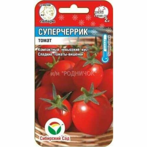 ������ ������ ������ ����� ����������� 20�� ��� ������ (��������� ���) ����