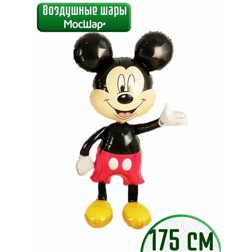 ������ ������ ��������� ��� ������� �� ������ ����� ����, ������� 175 �� ����