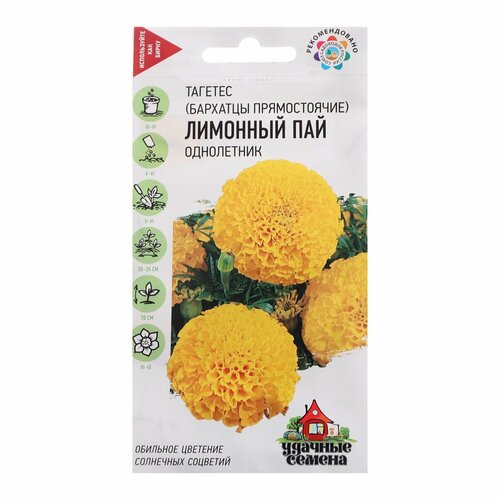 ������ ������ ������ �������� ������ (�������) 