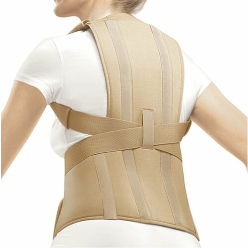 ������ ������ ��������� ������ Orlett TLSO-250(A) 2G, ������ L1, ������� ����