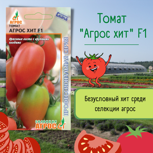 ������ ������ ������ ����� 