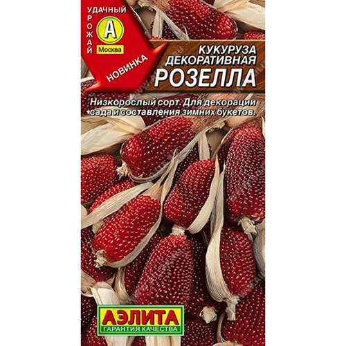 ������ ������ ������ �������� ������������ ������� (������) 10�� ����