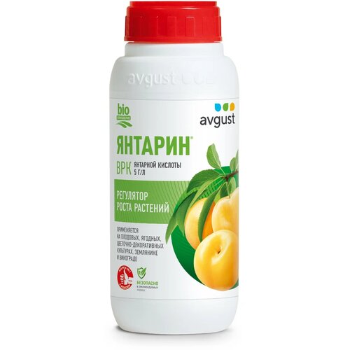 ������ ������ ��������� avgust �������, 0.5 �, 500 �, 1 ��. ����