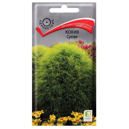 ������ ������ ������ ����� ����� ������ 0.1 � ����