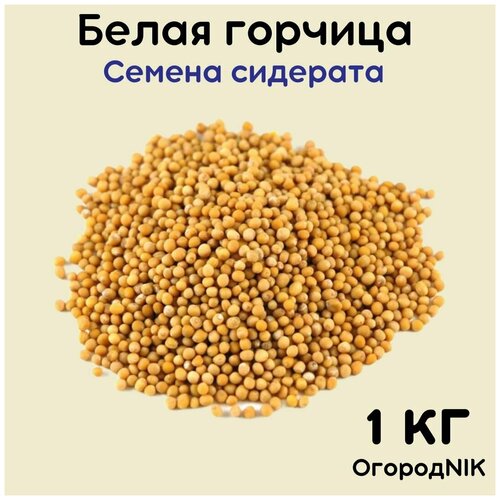 ������ ������ ������� ����� ������� 1 �� ����