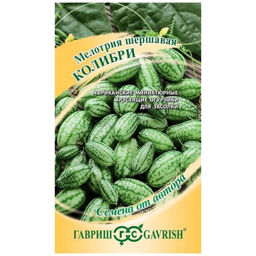 ������ ������ ������ ������ ������ �� ������ �������� ����-����� ������� 20 ��. ����