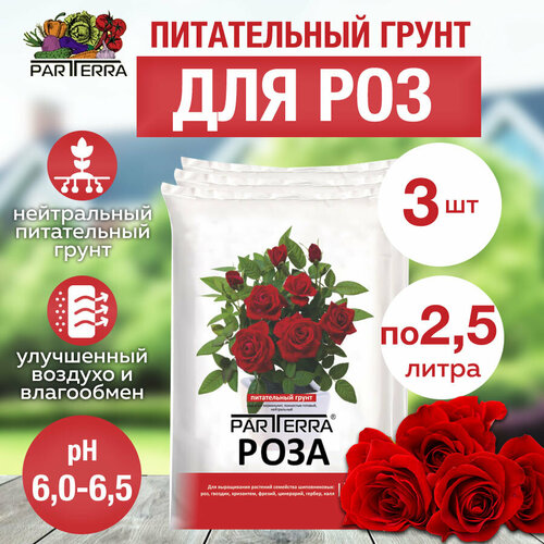 ������ ������ �������� ����������� ����� ��� ��� 2,5� 3 ����� ����