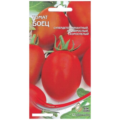 ������ ������ ����� ����, 25 ����� ����