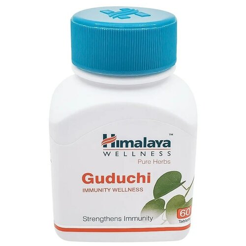 ������ ������ Guduchi, 60 �, 60 ��. ����