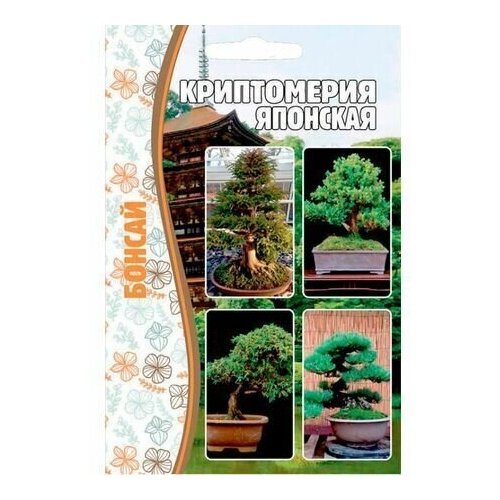 ������ ������ ����������� ��������/ ������ / ������ / ��������� �������� / ������ ������ / ������ �������� ����